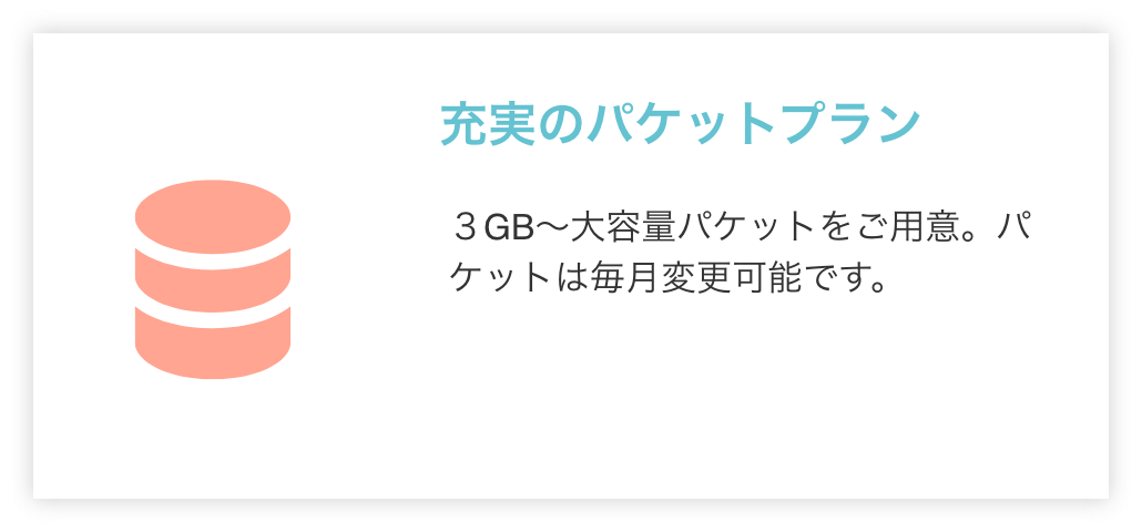 充実のパケットプラン