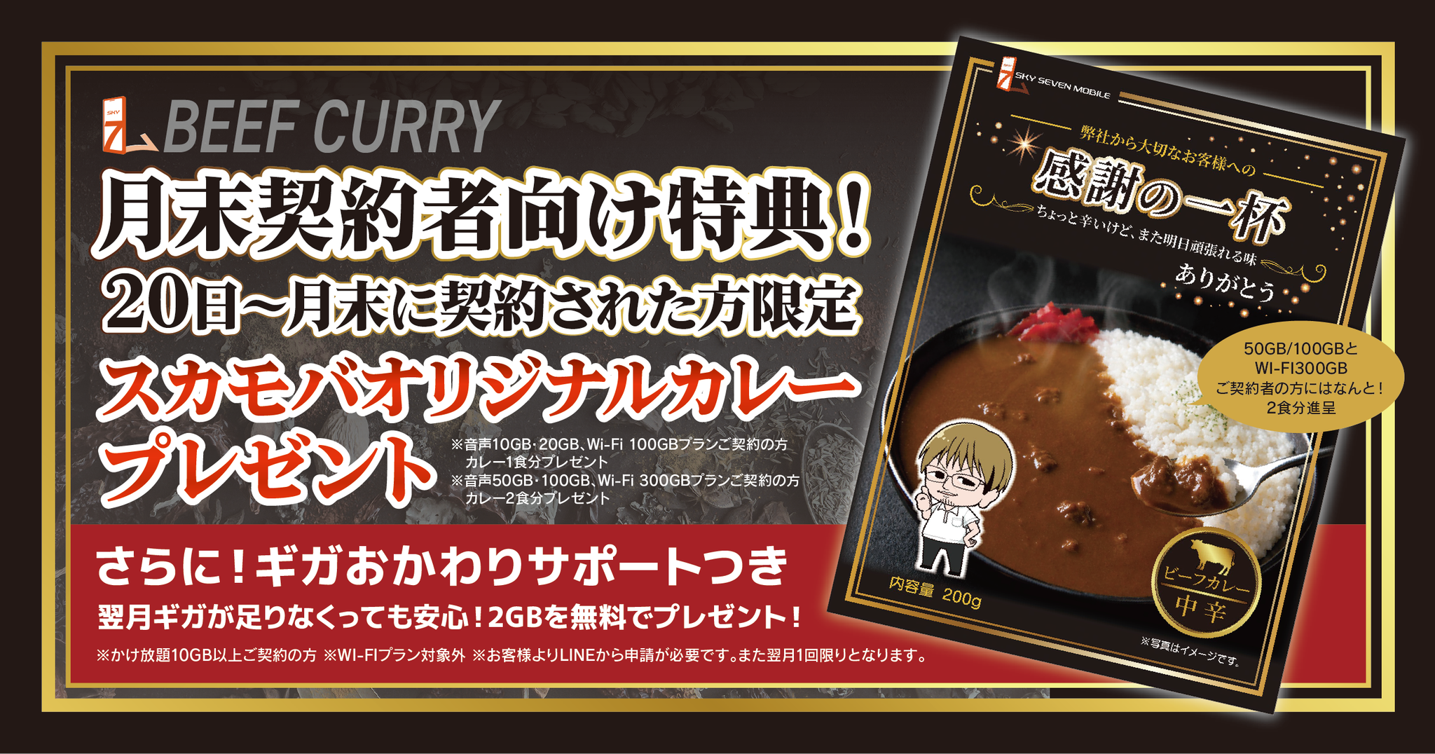 カレープレゼントキャンペーン